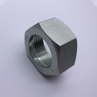 hydraulic manufacturer galvanized hex nut Meric hex nuts for tube fittings